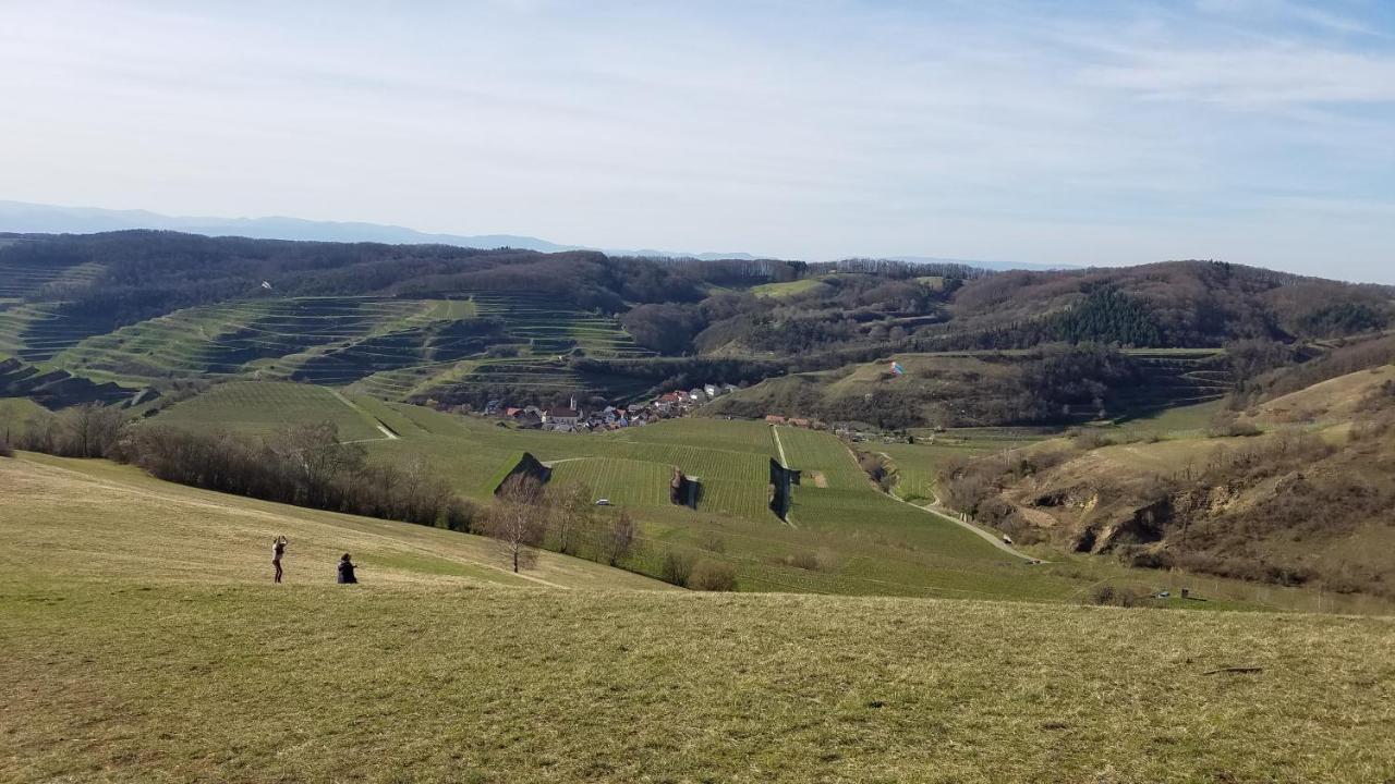 Ferienwohnung Sonnenschein Rheinhausen Eksteriør bilde